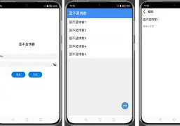 关于开发者社区动态显示，数字资产成为全球关注焦点的信息