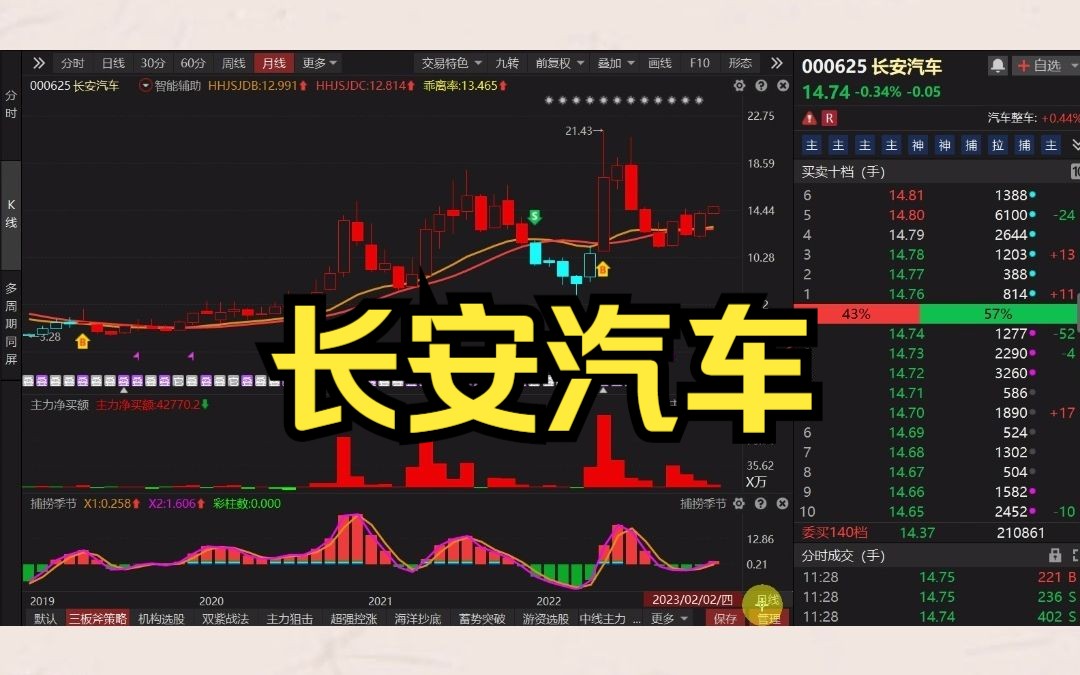 Polkadot遭遇大幅下滑超11.99%，投资者恐慌性抛售